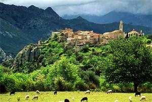 CicloTurismo Marche: Colline del Bianchello