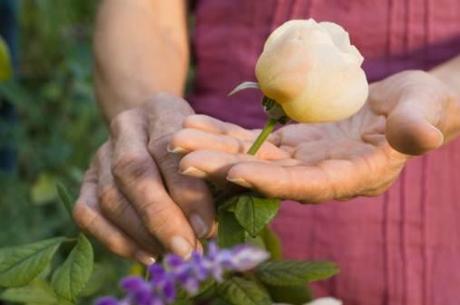 Progettiamo un giardino olistico!