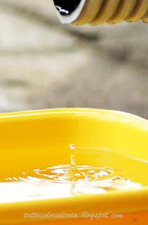 Photo Hunt 2012 (prima parte)