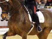 "London Hope": puntata. Equitazione. Truppa nostra outsider