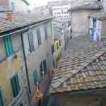 tetti di siena