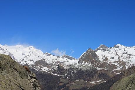 pink and blue Monte Rosa - the special sunset in Champolu