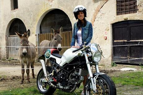 Monster Nasty Donkey by Luis Moto