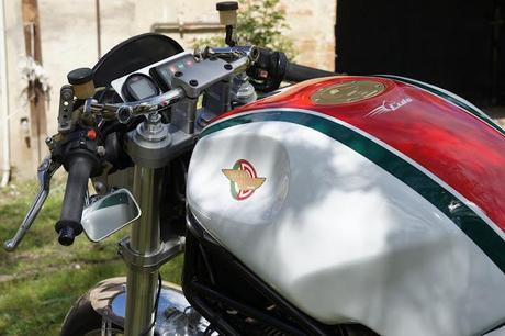 Monster Nasty Donkey by Luis Moto