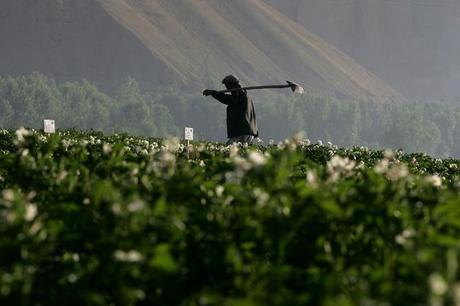 La festa onorabile della terra