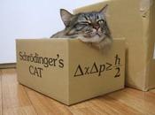 paradosso gatto Schrödinger