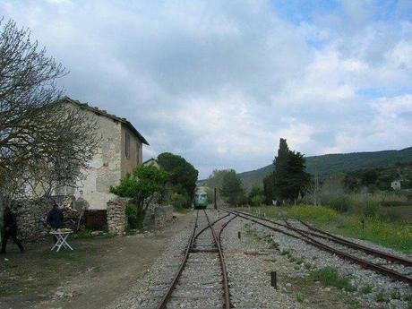 [Monserrato-Isili] In viaggio verso i fiori di cui mi ero completamente dimenticata