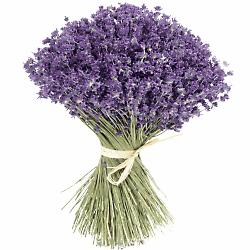 Deodorante alla lavanda