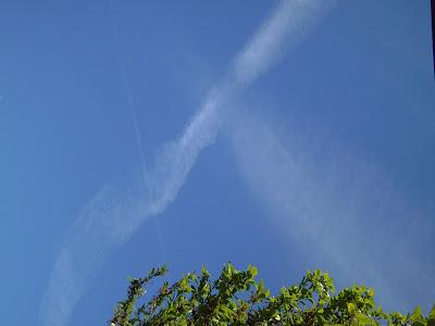 Documentazione fotografica: cancellazione dell'azzurro del cielo - 22 - 04 - 2012