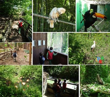 PASSEGGIATA NELL’OASI E VISITA AL NIDO DELLA CICOGNA