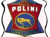 Elaborazioni POLINI