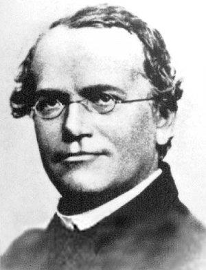 mendel