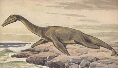 Plesiosauri nell'arte aborigena australiana