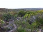 Bushwalk in Sydney National Park