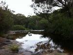 Bushwalk in Sydney National Park