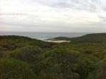 Bushwalk in Sydney National Park