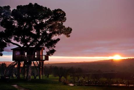 Le case sull'albero. Un'idea per le prossime vacanze