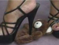 Crush fetish: si filmava mentre uccideva piccoli animali, condannata