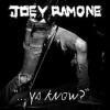 Joey Ramone Rock Roll Answer Video Testo Traduzione