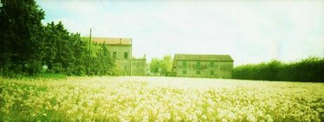 PARCO MACCHINE ANALOGICO • Eminflex WidePic Camera