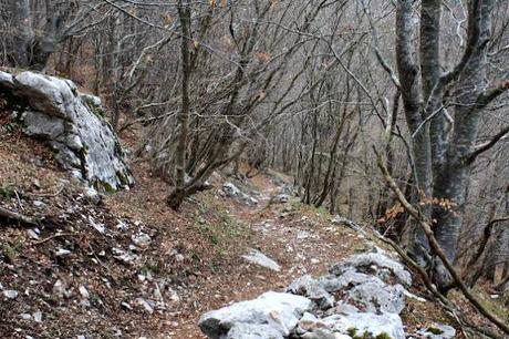 Trekking di primavera in Lessinia...con neve