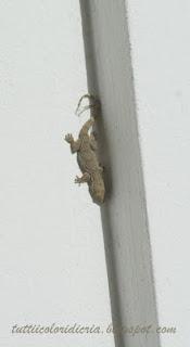 Photo Hunt 2012 (Terza parte)