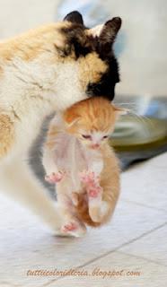 Photo Hunt 2012 (Terza parte)