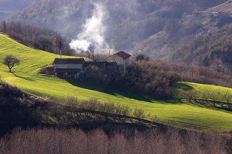 I'm waiting for #AlbaCamp, where food, wine and travel bloggers will enjoy the Langhe!