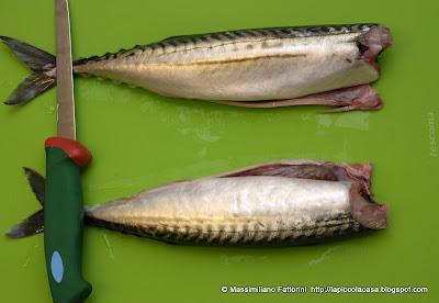 Il pesce azzurro: cartoccio di filetto di sgombro con sale al rosmarino e maggiorana