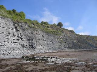 Inganno e Persuasione di Carrie Bebris: a Lyme Regis con Mr e Mrs Darcy