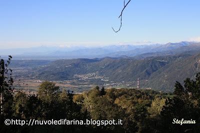 Torcetti al burro piemontesi