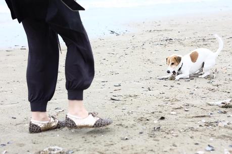 The beach in winter....ops spring!