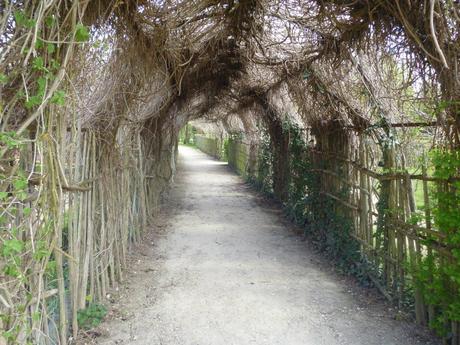 II parte del racconto di ALICE MORTALI, la sua avventura a Versailles in abiti d’epoca!!!