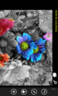 Colorify è l’applicazione free per tutti i device Windows Phone che personalizza le vostre foto