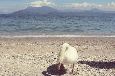 Walking in Sirmione