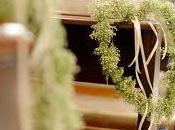 Incoronazione velazione?