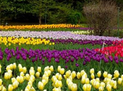 Idee Viaggio ponte Maggio Giardini Hanbury Ventimiglia: tuffo verde