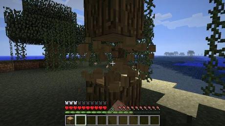 Guida alla sopravvivenza base di minecraft