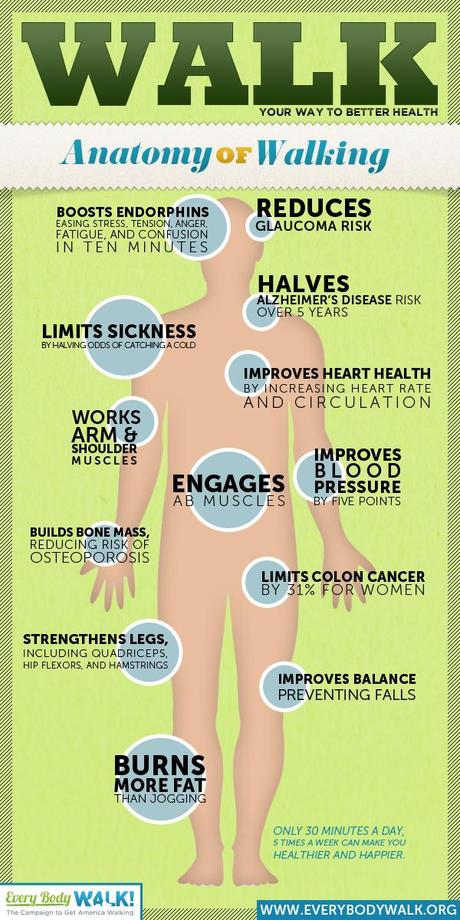 Benefici camminare - infographic