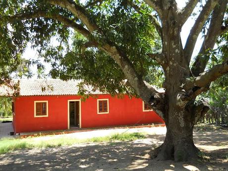 Un giorno in Fazenda