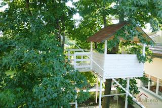 LA CASA SULL'ALBERO