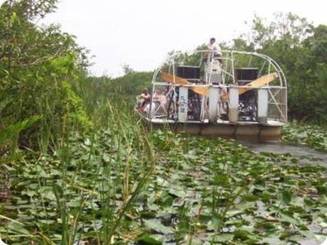 Everglades-Airboat