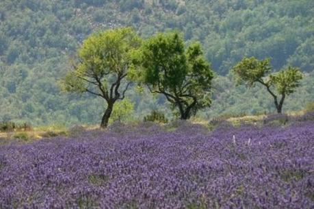 Tourner à la maison
