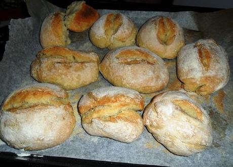 panini-di-grano-duro
