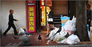 La guerra dei corvi in Giappone