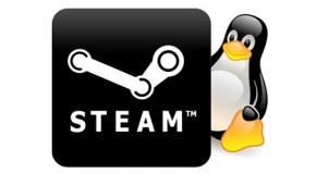 Steam per Linux