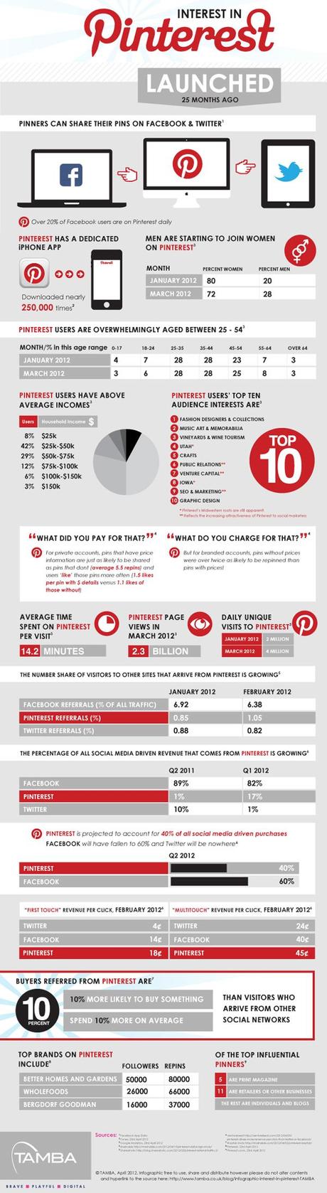 PINTREST INFOGRAPHIC 