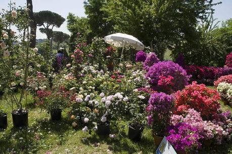 Floracult. Fiori e arredo bio tra i giardini di Casali del Pino