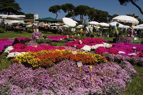 Floracult. Fiori e arredo bio tra i giardini di Casali del Pino