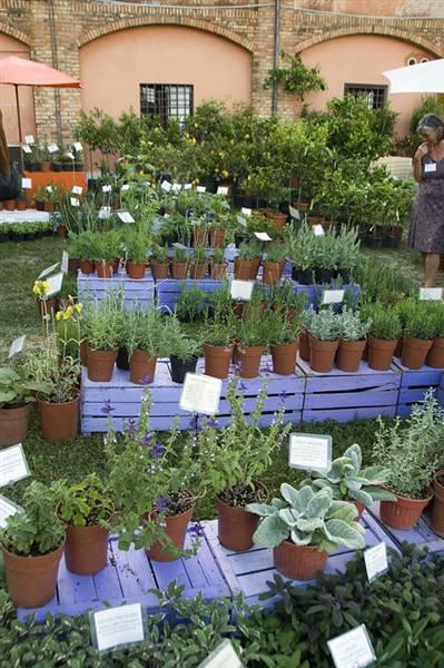 Floracult. Fiori e arredo bio tra i giardini di Casali del Pino